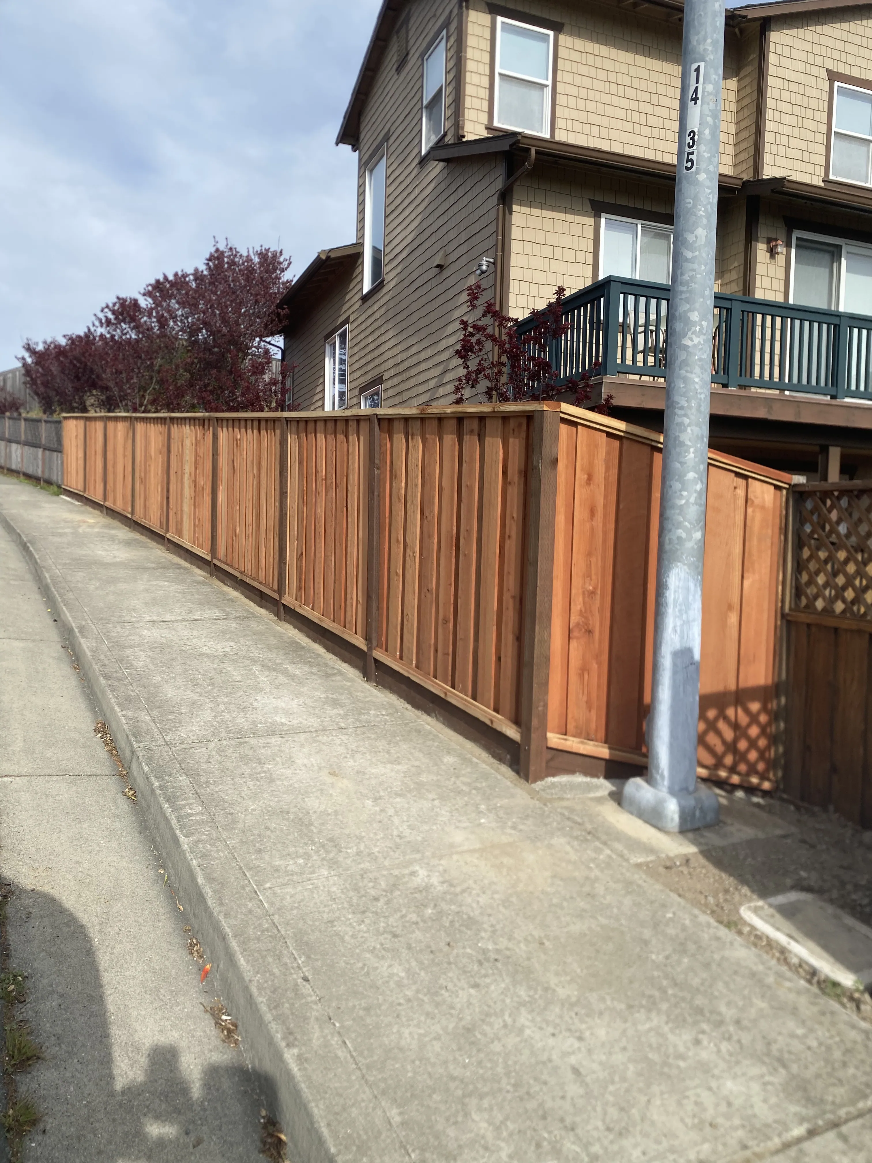 Landscaping with fence